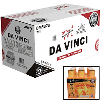 Fireworks - Wholesale Fireworks - da Vinci Wholesale Case 2/1