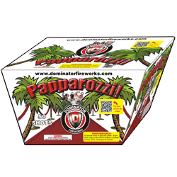 Fireworks - 500g Firework Cakes - Paparazzi