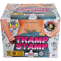 Fireworks - 500g Firework Cakes - Tramp Stamp 500g Fireworks Cake