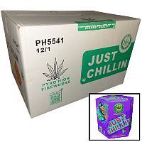 Fireworks - Wholesale Fireworks - Just Chillin Wholesale Case 12/1