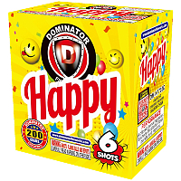 6 Shot Happy 200g Fireworks Cake Fireworks For Sale - 200G Multi-Shot Cake Aerials 