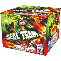 Seal Team Parachute Daytime Cake Fireworks For Sale - Parachutes 